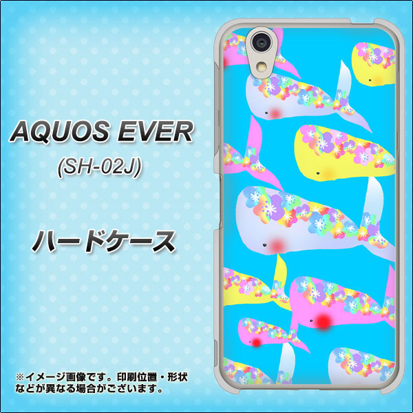docomo アクオスエバー SH-02J 高画質仕上げ 背面印刷 ハードケース【1045 くじらの仲間】