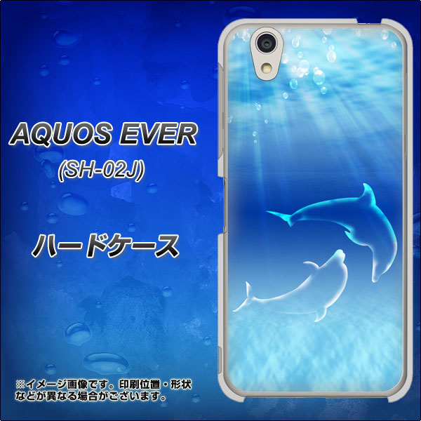 docomo アクオスエバー SH-02J 高画質仕上げ 背面印刷 ハードケース【1048 海の守り神イルカ】