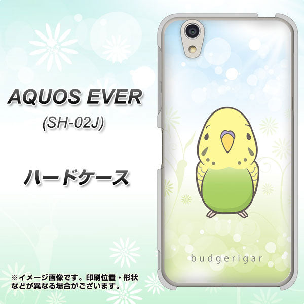 docomo アクオスエバー SH-02J 高画質仕上げ 背面印刷 ハードケース【SC838 セキセイインコ グリーン】