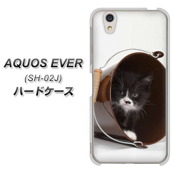 docomo アクオスエバー SH-02J 高画質仕上げ 背面印刷 ハードケース【VA800 ネコとバケツ】
