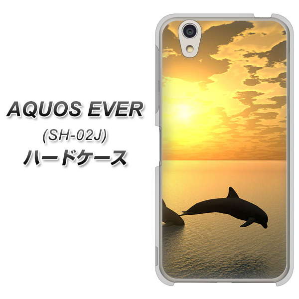 docomo アクオスエバー SH-02J 高画質仕上げ 背面印刷 ハードケース【VA845 夕暮れのドルフィン】