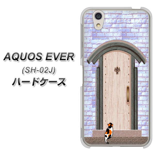 docomo アクオスエバー SH-02J 高画質仕上げ 背面印刷 ハードケース【YA952 石ドア02 素材クリア】