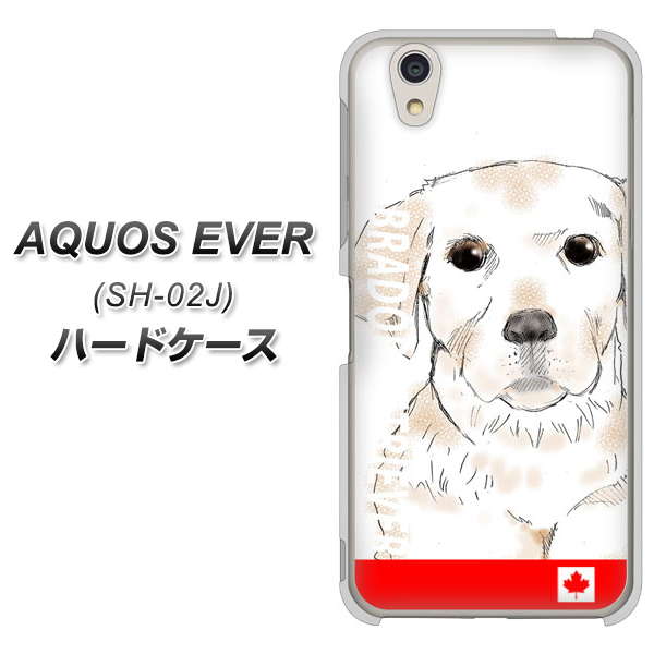 docomo アクオスエバー SH-02J 高画質仕上げ 背面印刷 ハードケース【YD821 ラブラドールレトリバー02】