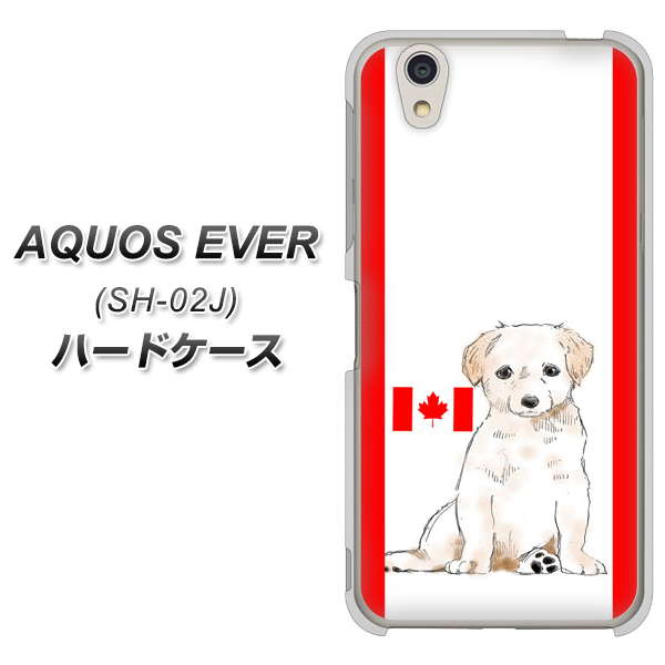 docomo アクオスエバー SH-02J 高画質仕上げ 背面印刷 ハードケース【YD824 ラブラドールレトリバー05】