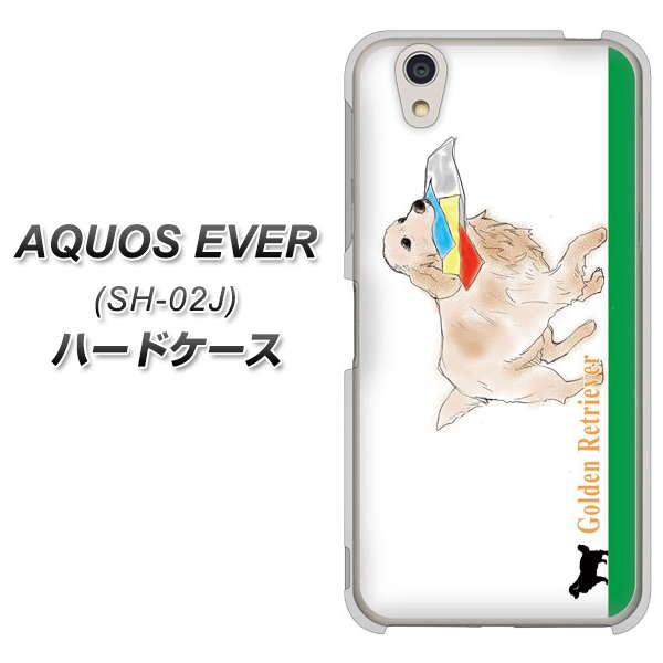 docomo アクオスエバー SH-02J 高画質仕上げ 背面印刷 ハードケース【YD829 ゴールデンレトリバー05】