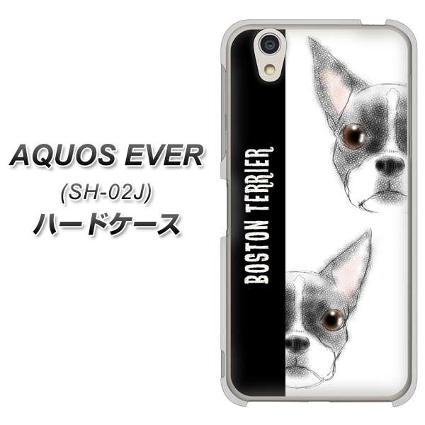 docomo アクオスエバー SH-02J 高画質仕上げ 背面印刷 ハードケース【YD850 ボストンテリア01】