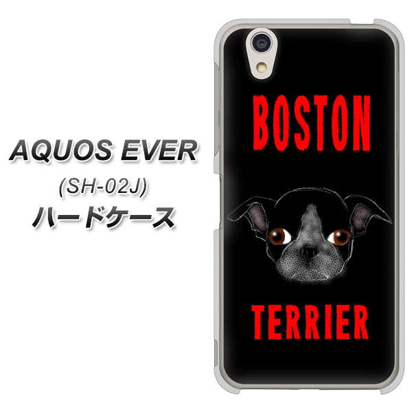 docomo アクオスエバー SH-02J 高画質仕上げ 背面印刷 ハードケース【YD853 ボストンテリア04】