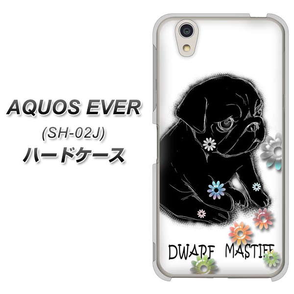 docomo アクオスエバー SH-02J 高画質仕上げ 背面印刷 ハードケース【YD859 パグ05】