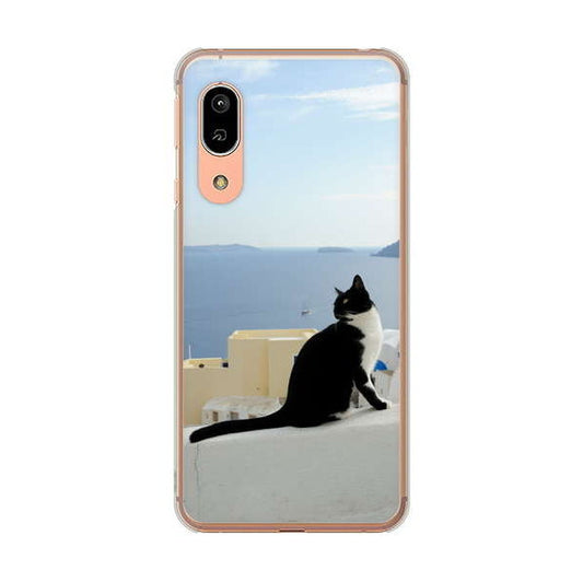 AQUOS sense3 SH-02M docomo 高画質仕上げ 背面印刷 ハードケース 【VA805 ネコと地中海】