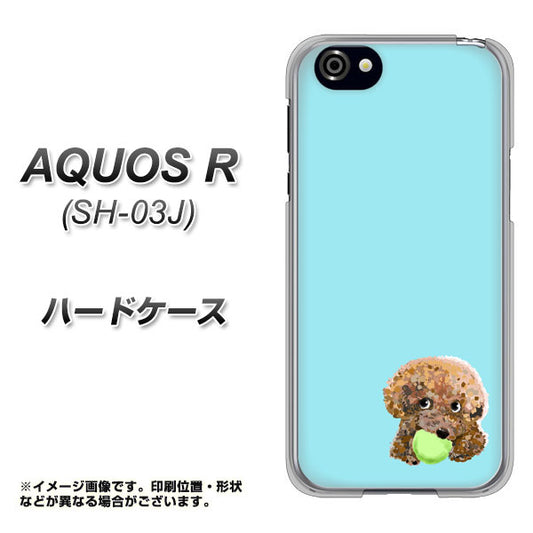 docomo アクオスR SH-03J 高画質仕上げ 背面印刷 ハードケース【YJ054 トイプードル&ボール(ブルー)】