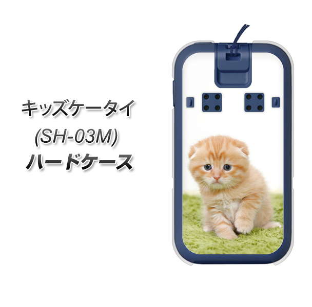 docomo キッズケータイ SH-03M 高画質仕上げ 背面印刷 ハードケース【VA802 ネコこっそり】