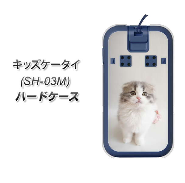docomo キッズケータイ SH-03M 高画質仕上げ 背面印刷 ハードケース【VA803 まっていますネコ】