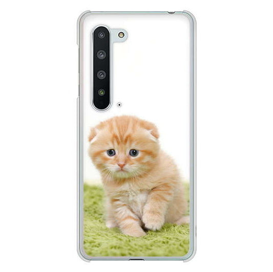 AQUOS R5G SH-51A docomo 高画質仕上げ 背面印刷 ハードケース 【VA802 ネコこっそり】