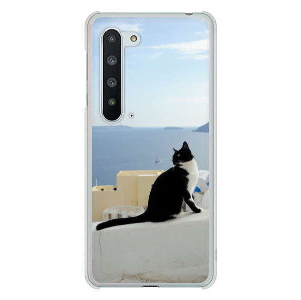 AQUOS R5G SH-51A docomo 高画質仕上げ 背面印刷 ハードケース 【VA805 ネコと地中海】