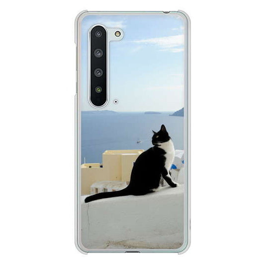 AQUOS R5G SH-51A docomo 高画質仕上げ 背面印刷 ハードケース 【VA805 ネコと地中海】