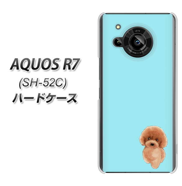 AQUOS R7 SH-52C docomo 高画質仕上げ 背面印刷 ハードケース【YJ050 トイプードルレッド(ブルー)】