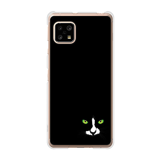 AQUOS sense5G SH-53A docomo 高画質仕上げ 背面印刷 ハードケース 【398 黒ネコ】