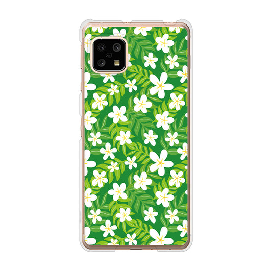 AQUOS sense5G SH-53A docomo 高画質仕上げ 背面印刷 ハードケース 【760 ジャスミンの花畑】