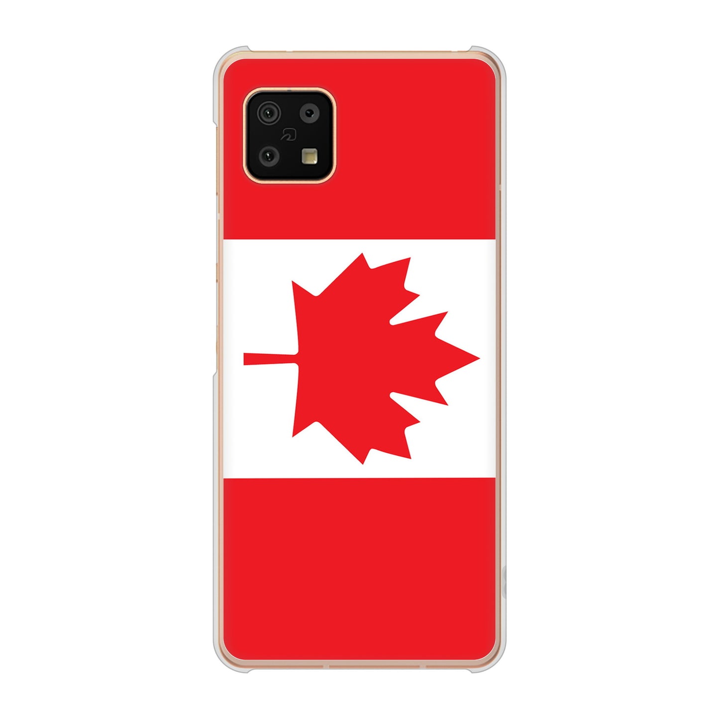 AQUOS sense6 SH-54B docomo 高画質仕上げ 背面印刷 ハードケース 国旗