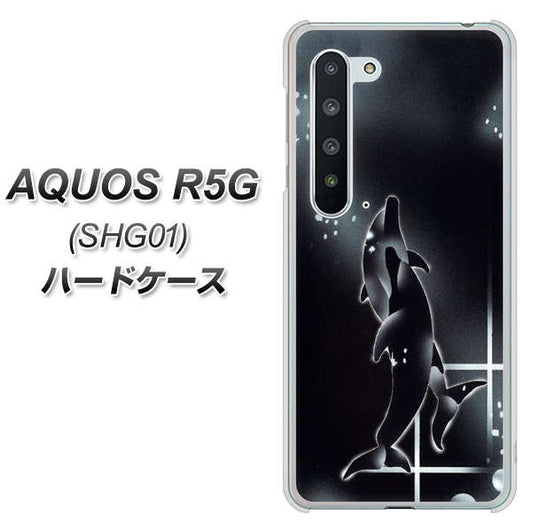 au アクオス R5G SHG01 高画質仕上げ 背面印刷 ハードケース【158 ブラックドルフィン】