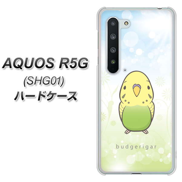 au アクオス R5G SHG01 高画質仕上げ 背面印刷 ハードケース【SC838 セキセイインコ グリーン】