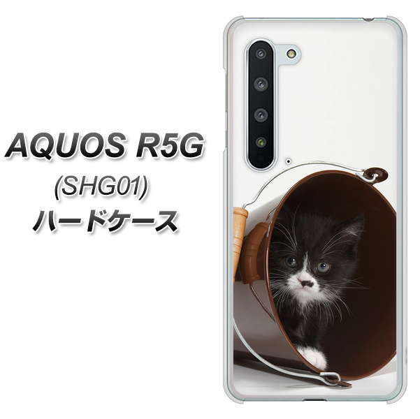 au アクオス R5G SHG01 高画質仕上げ 背面印刷 ハードケース【VA800 ネコとバケツ】