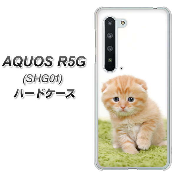 au アクオス R5G SHG01 高画質仕上げ 背面印刷 ハードケース【VA802 ネコこっそり】