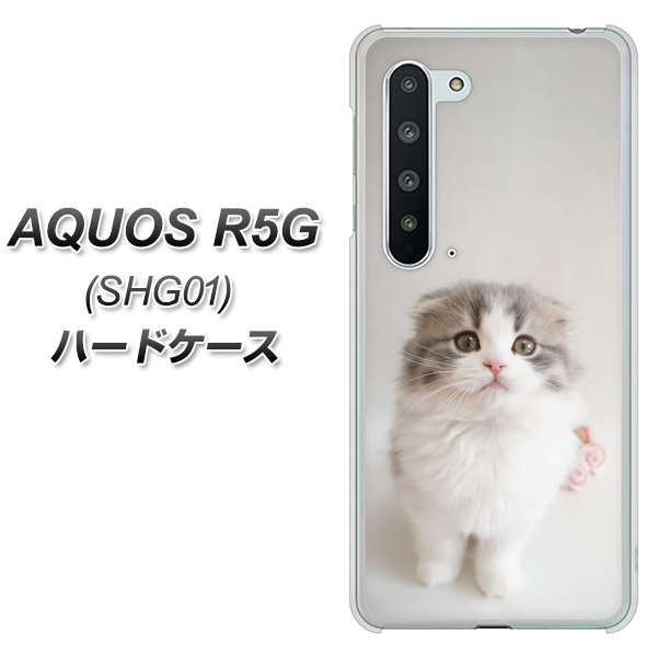 au アクオス R5G SHG01 高画質仕上げ 背面印刷 ハードケース【VA803 まっていますネコ】