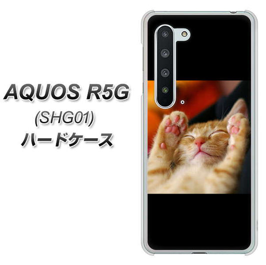 au アクオス R5G SHG01 高画質仕上げ 背面印刷 ハードケース【VA804 爆睡するネコ】