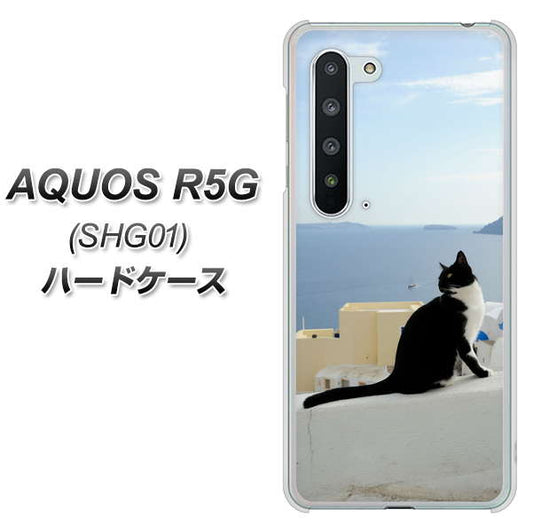 au アクオス R5G SHG01 高画質仕上げ 背面印刷 ハードケース【VA805 ネコと地中海】