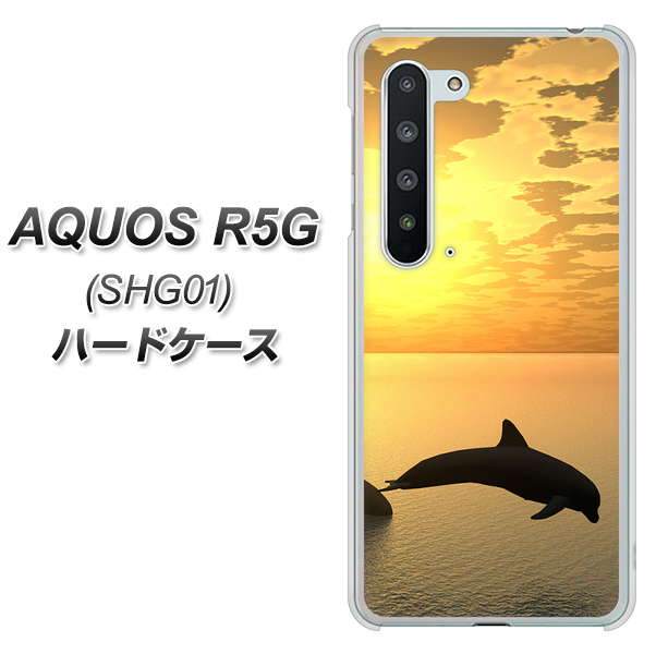 au アクオス R5G SHG01 高画質仕上げ 背面印刷 ハードケース【VA845 夕暮れのドルフィン】