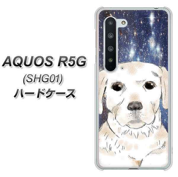 au アクオス R5G SHG01 高画質仕上げ 背面印刷 ハードケース【YD820 ラブラドールレトリバー01】