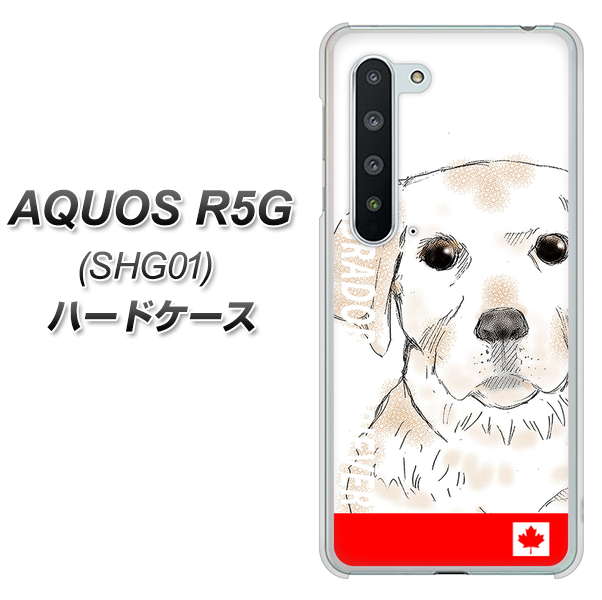 au アクオス R5G SHG01 高画質仕上げ 背面印刷 ハードケース【YD821 ラブラドールレトリバー02】