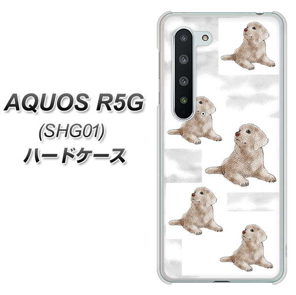 au アクオス R5G SHG01 高画質仕上げ 背面印刷 ハードケース【YD823 ラブラドールレトリバー04】