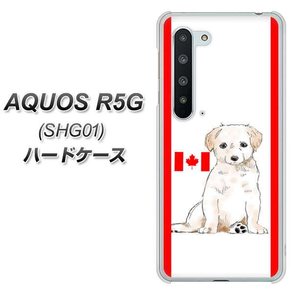 au アクオス R5G SHG01 高画質仕上げ 背面印刷 ハードケース【YD824 ラブラドールレトリバー05】