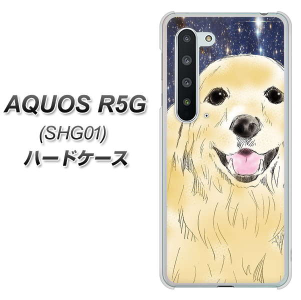 au アクオス R5G SHG01 高画質仕上げ 背面印刷 ハードケース【YD828 ゴールデンレトリバー04】