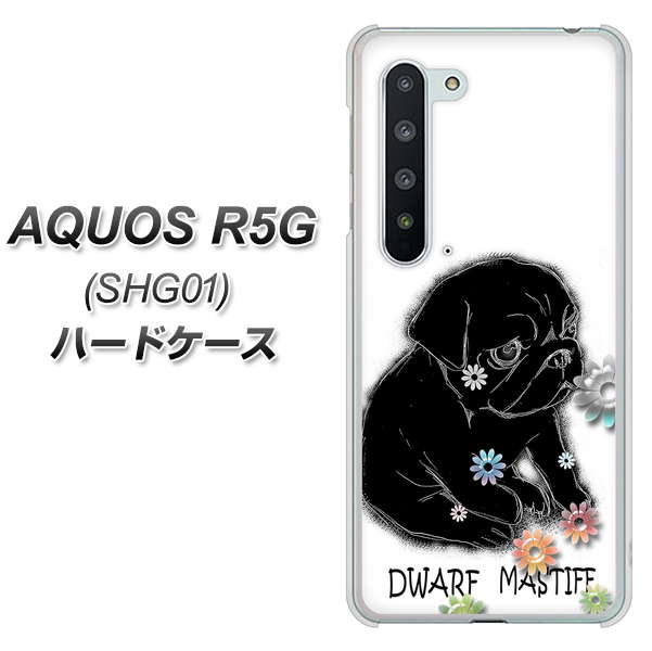 au アクオス R5G SHG01 高画質仕上げ 背面印刷 ハードケース【YD859 パグ05】