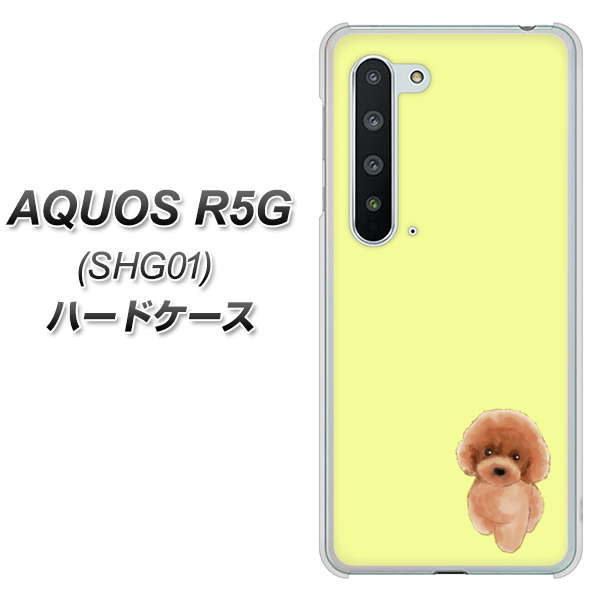 au アクオス R5G SHG01 高画質仕上げ 背面印刷 ハードケース【YJ051 トイプードルレッド(イエロー)】