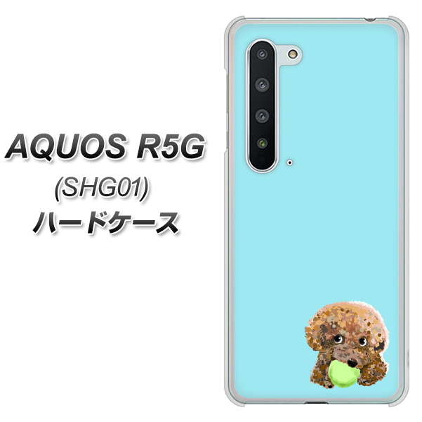 au アクオス R5G SHG01 高画質仕上げ 背面印刷 ハードケース【YJ054 トイプードル&ボール(ブルー)】