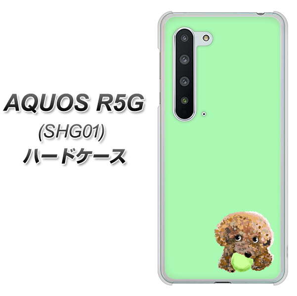 au アクオス R5G SHG01 高画質仕上げ 背面印刷 ハードケース【YJ055 トイプードル&ボール(グリーン)】
