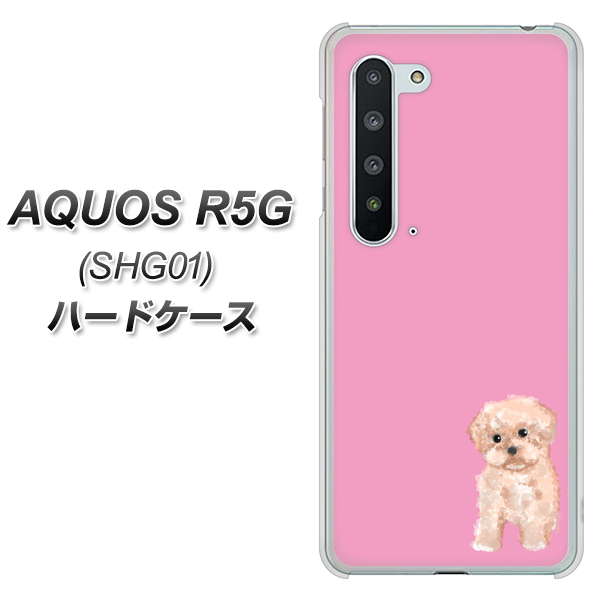 au アクオス R5G SHG01 高画質仕上げ 背面印刷 ハードケース【YJ061 トイプードルアプリコット(ピンク)】