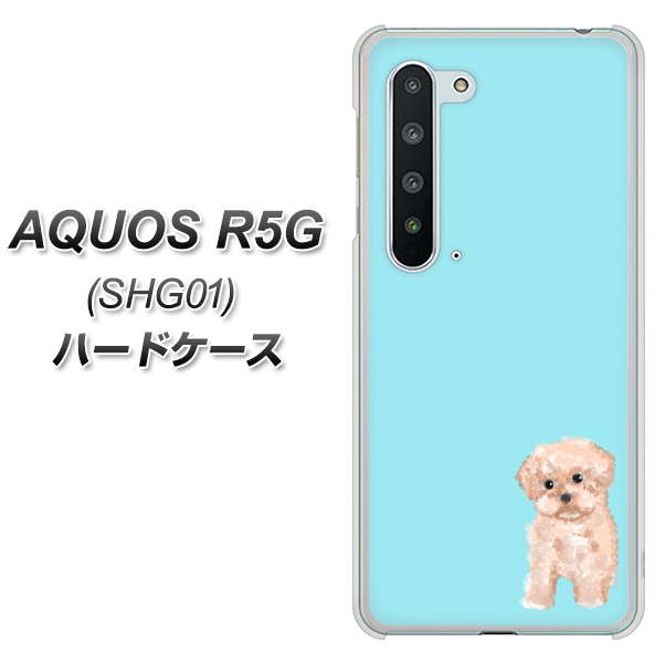 au アクオス R5G SHG01 高画質仕上げ 背面印刷 ハードケース【YJ062 トイプードルアプリコット(ブルー)】