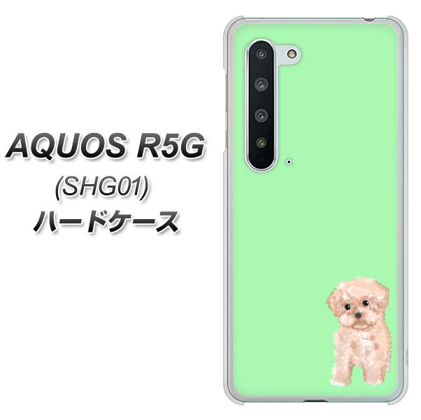 au アクオス R5G SHG01 高画質仕上げ 背面印刷 ハードケース【YJ063 トイプードルアプリコット（グリーン）】