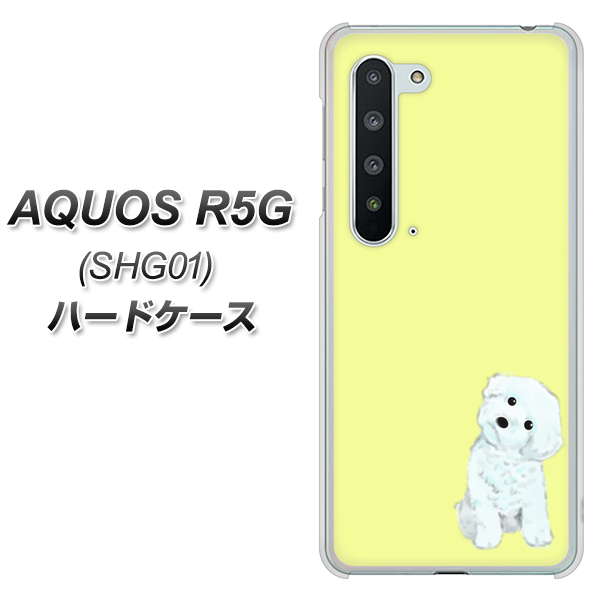 au アクオス R5G SHG01 高画質仕上げ 背面印刷 ハードケース【YJ072 トイプードルホワイト(イエロー)】
