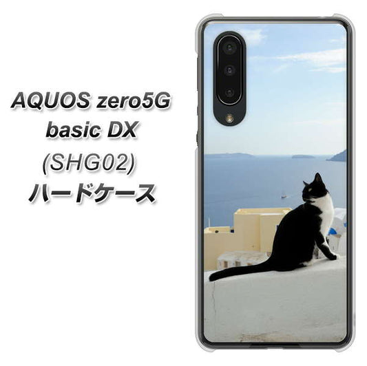au アクオスゼロ5G basic DX SHG02 高画質仕上げ 背面印刷 ハードケース【VA805 ネコと地中海】