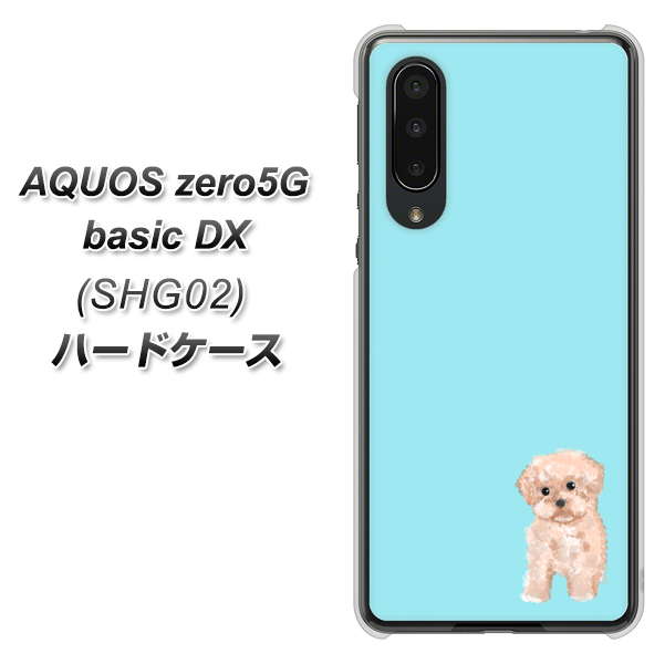 au アクオスゼロ5G basic DX SHG02 高画質仕上げ 背面印刷 ハードケース【YJ062 トイプードルアプリコット(ブルー)】