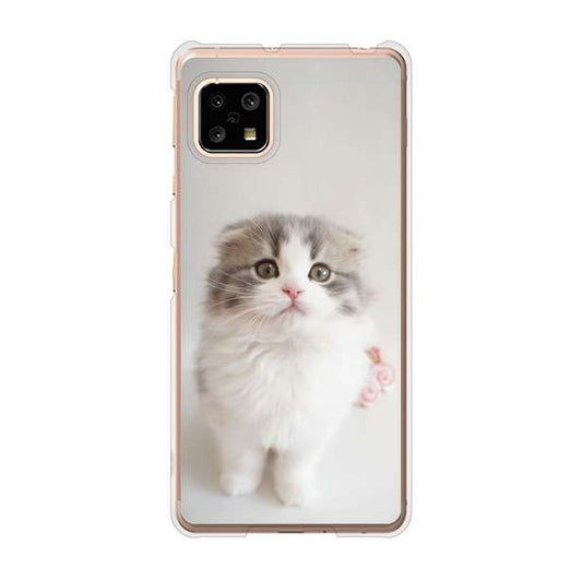 AQUOS sense5G SHG03 au 高画質仕上げ 背面印刷 ハードケース 【VA803 まっていますネコ】