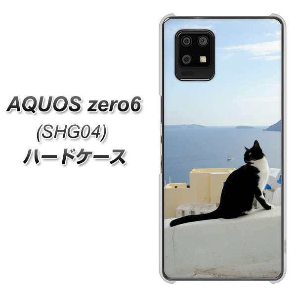 au アクオスゼロ6 SHG04 高画質仕上げ 背面印刷 ハードケース【VA805 ネコと地中海】