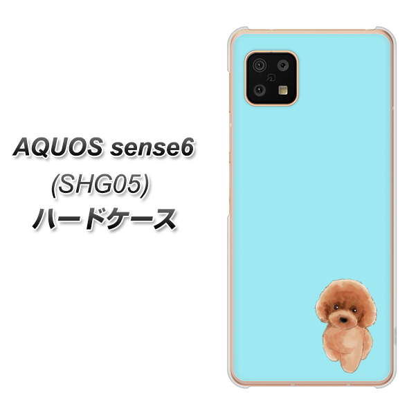 AQUOS sense6 SHG05 au 高画質仕上げ 背面印刷 ハードケース【YJ050 トイプードルレッド(ブルー)】