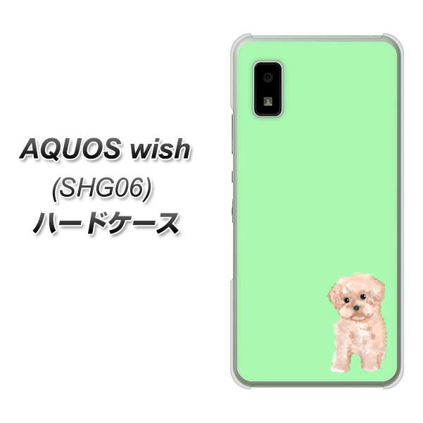 AQUOS wish SHG06 au 高画質仕上げ 背面印刷 ハードケース【YJ063 トイプードルアプリコット(グリーン)】